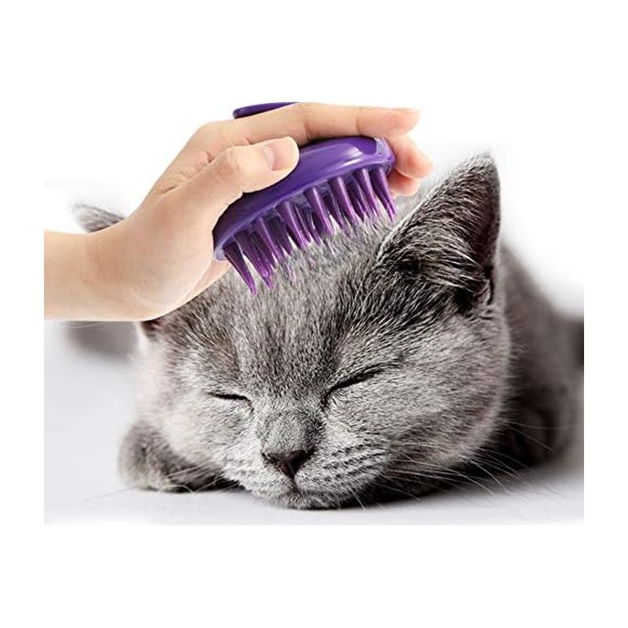 Cat Brush