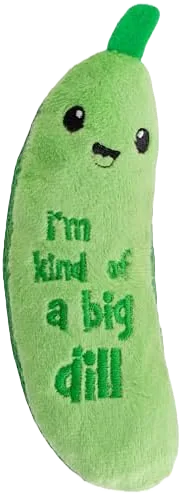 Pickle Kicker Toy