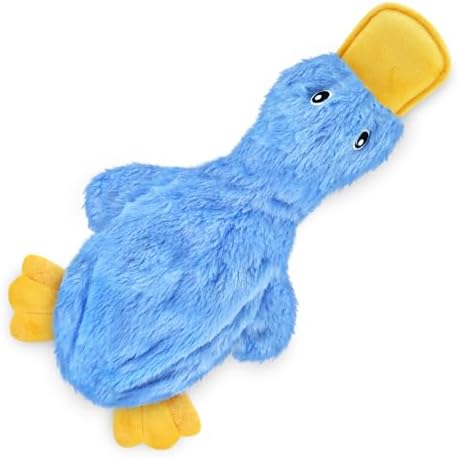 Crinkle Duck Toy