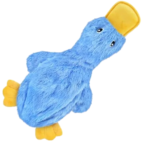 Crinkle Duck Toy