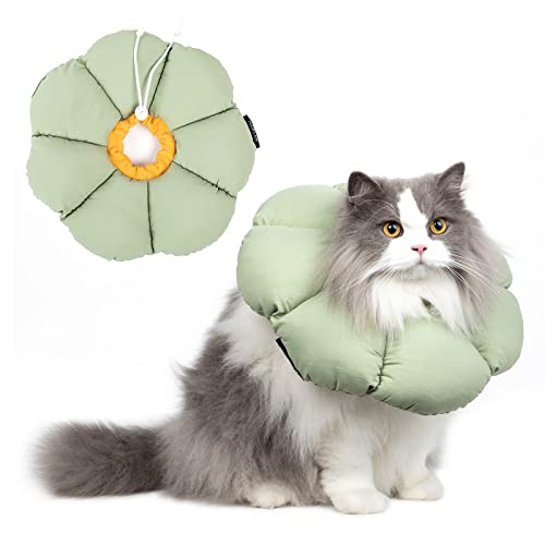Soft Recovery Collar