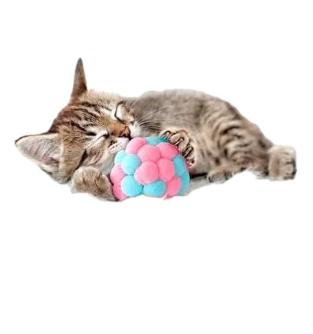 Catnip Toys, 9 Pack