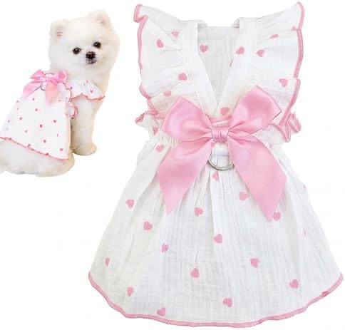 Heart Print Tutu Dress