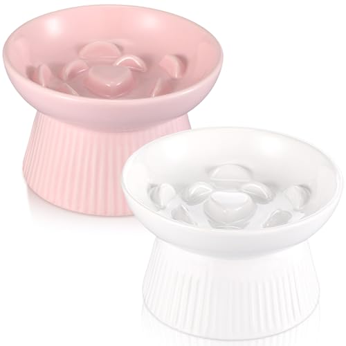 Slow Feeder Bowls, Set of 2