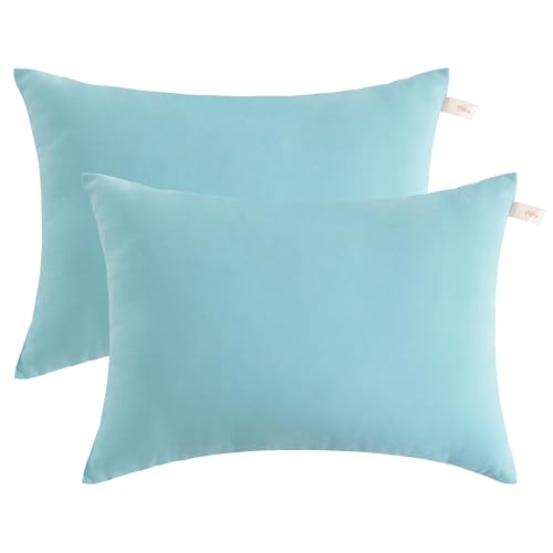 Tiny Pillow, Set of 2