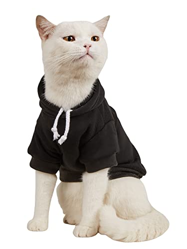 Basic Pet Hoodie