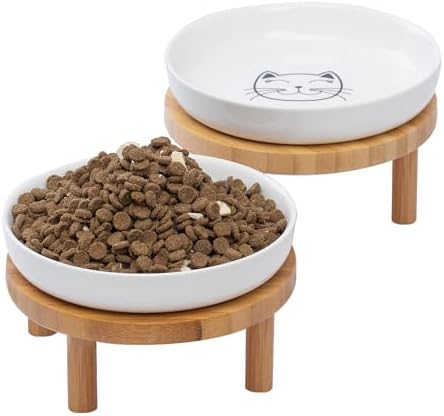Raised Cat Bowls, Set of 2