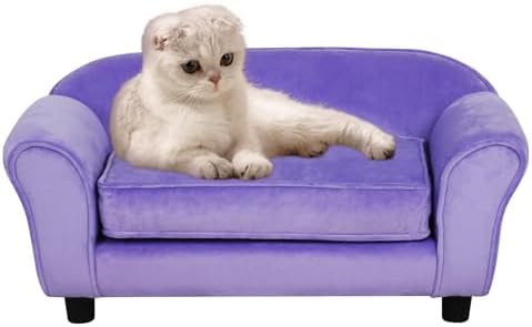 Velvet Sofa with Legs