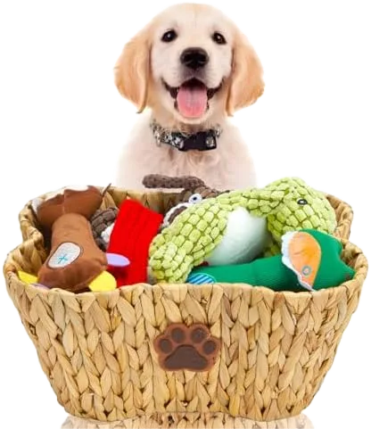 Wicker Toy Basket