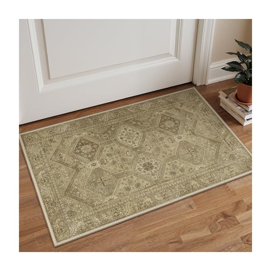 Bavni Clearance 2x3 Rugs