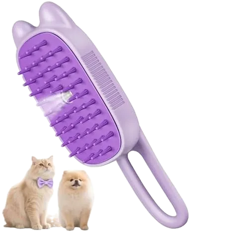 Rechargeable Steam Brush